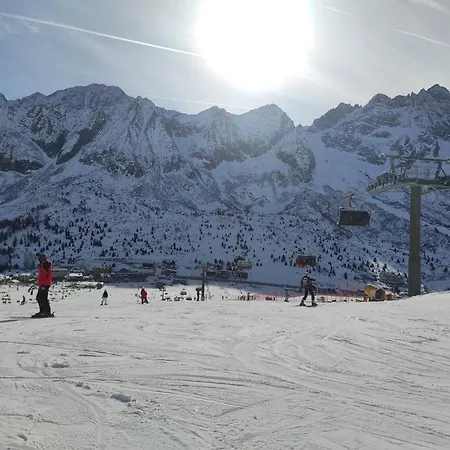 Stella Alpina * Passo del Tonale